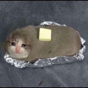 Meet your Posher, Lola